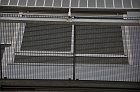 chu_20090803_D300_9281