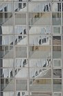 chu_20091106_D90_1369
