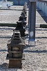 chu_20100625_D300__4820
